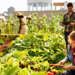 Boosting Your Garden Business with Branded Plant Containers