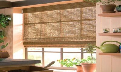 How Can Bamboo Blinds Transform Your Living Space