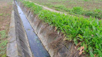 Installing French Drains